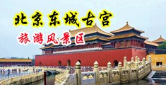 www.caosiwo中国北京-东城古宫旅游风景区